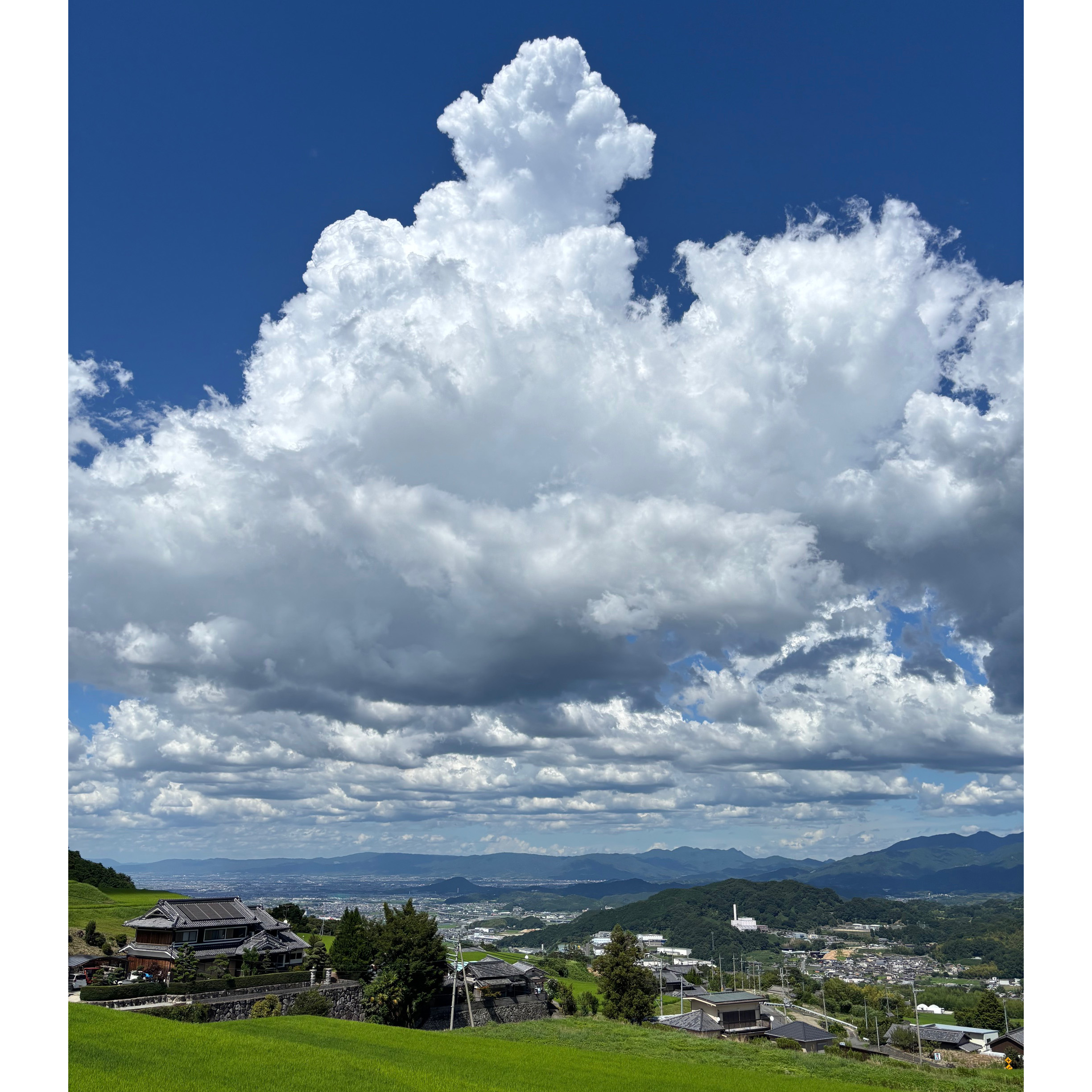 2026 Spring & Summer  帽子類カタログ